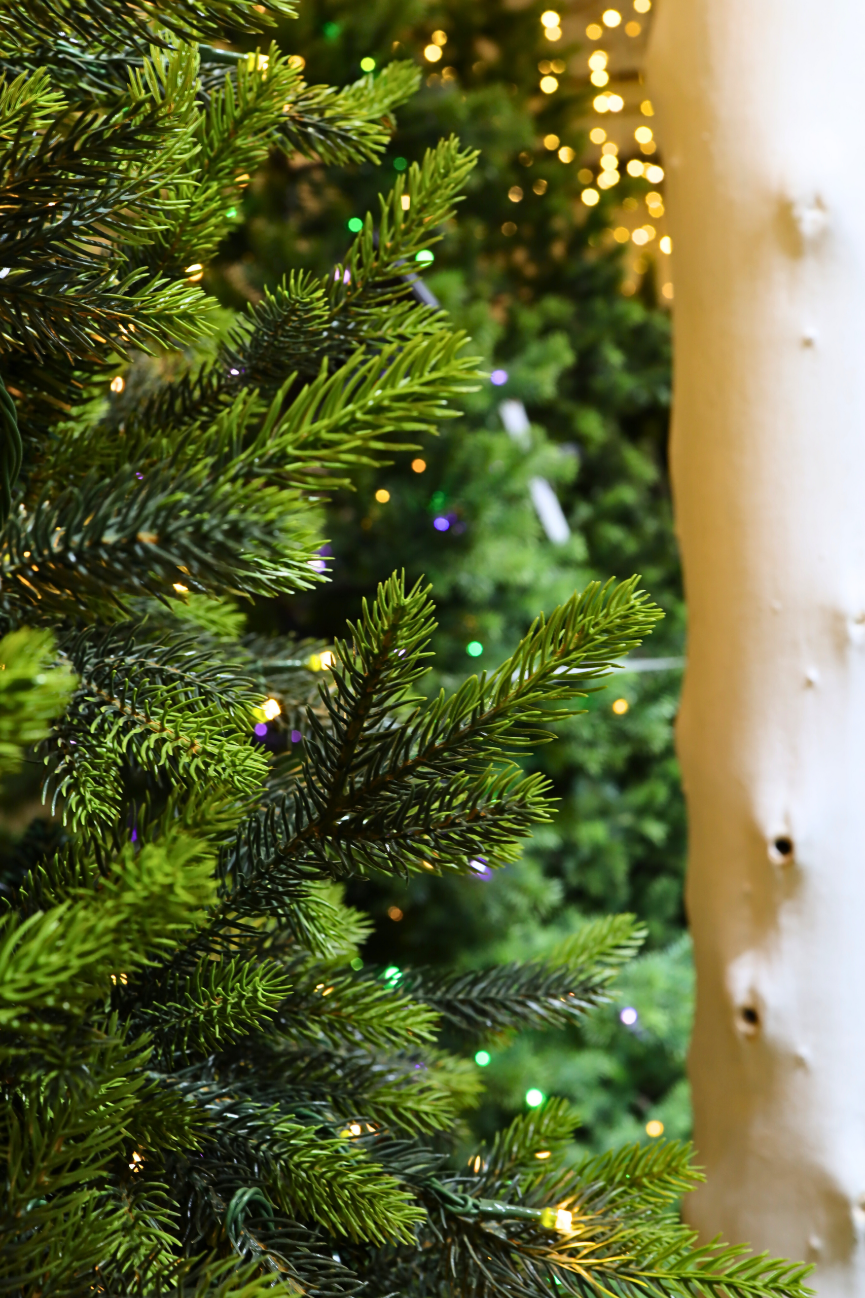 Arvore de Natal Boreal Dinatale