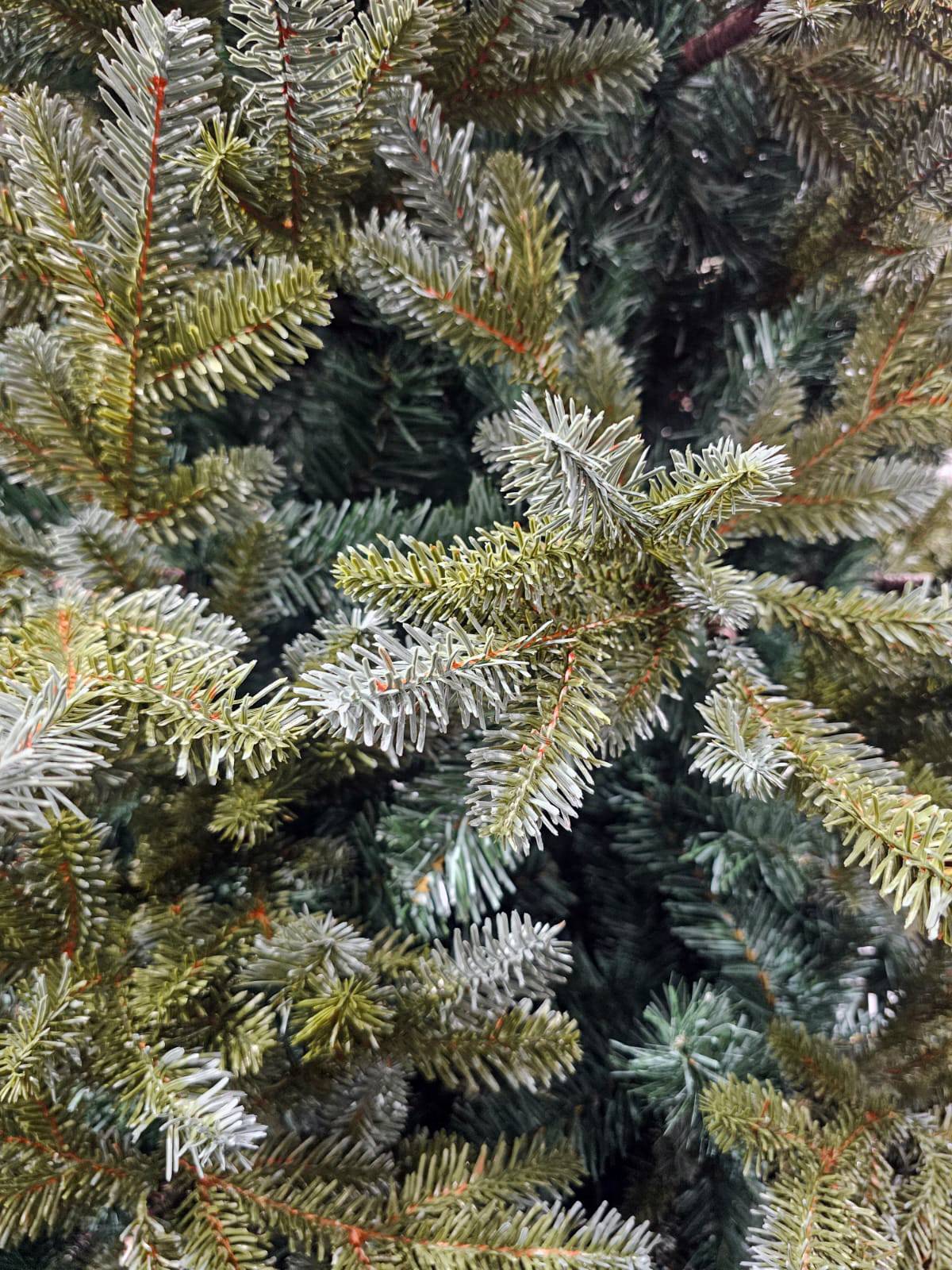  árvore de Natal Kiev 