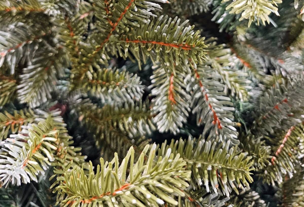 árvore de Natal Kiev