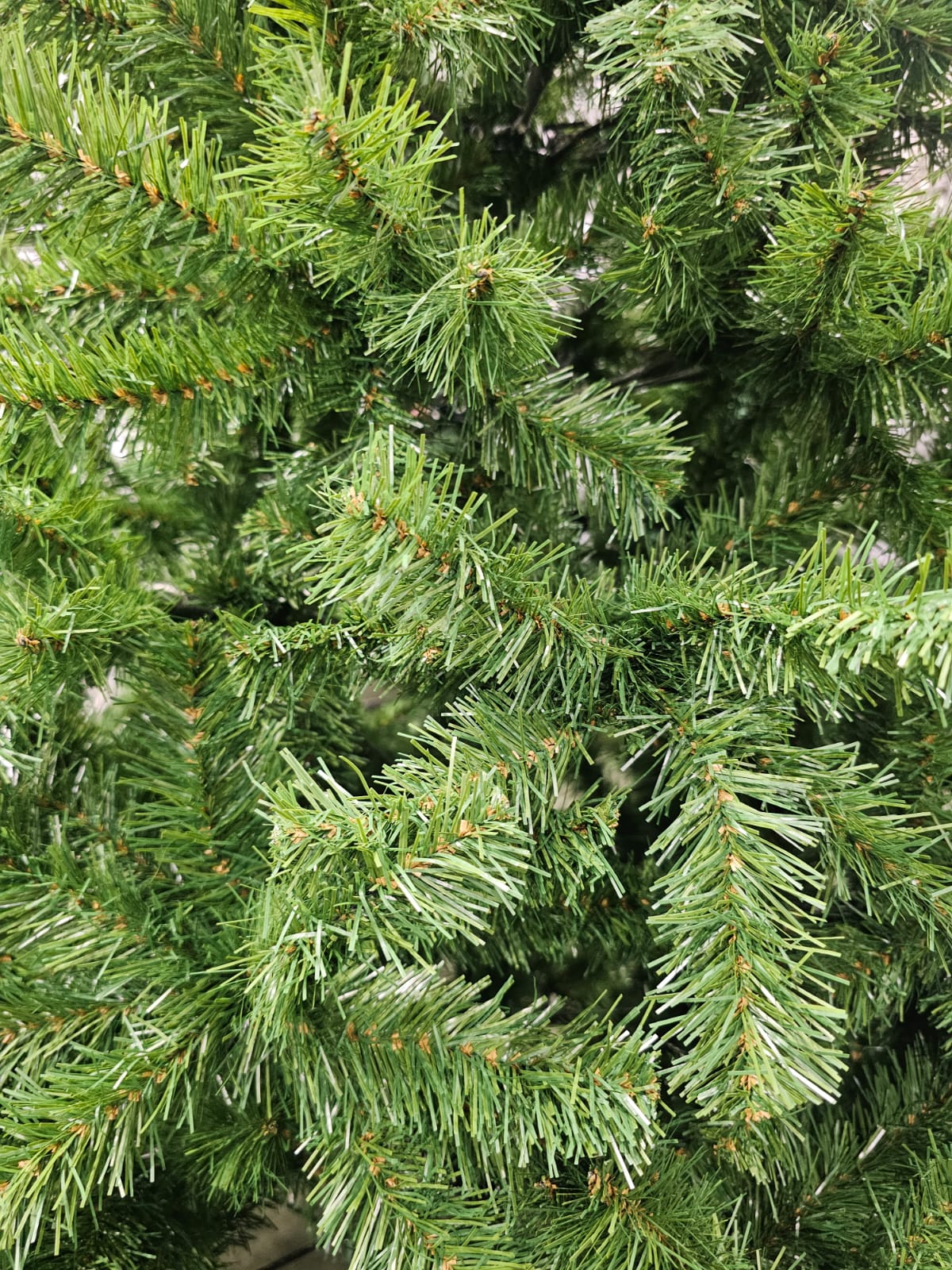 árvore de Natal Malibu